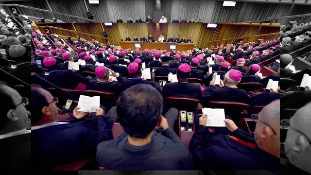 Tras tres semanas de debates, el Sínodo de los obispos aprobaron hoy en Roma y por mayoría, un documento en el que la Iglesia muestra mayor tolerancia ante divorciados y otras situaciones familiares.