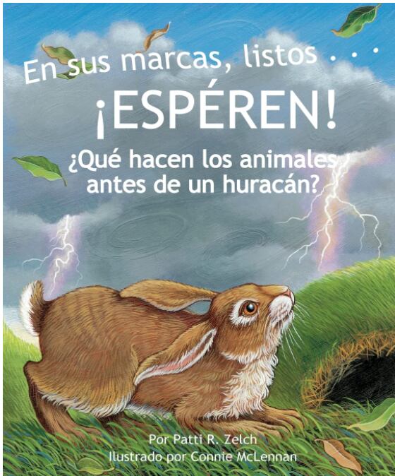 En Sus Marcas, Listos... ¡Espéren! ¿Qué Hacen Los Animales Antes de Un Huracán?