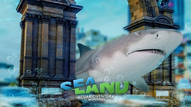 Acuario Sealand Monterrey
