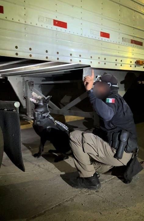 Conductor de tráiler detenido con 2 millones de pastillas