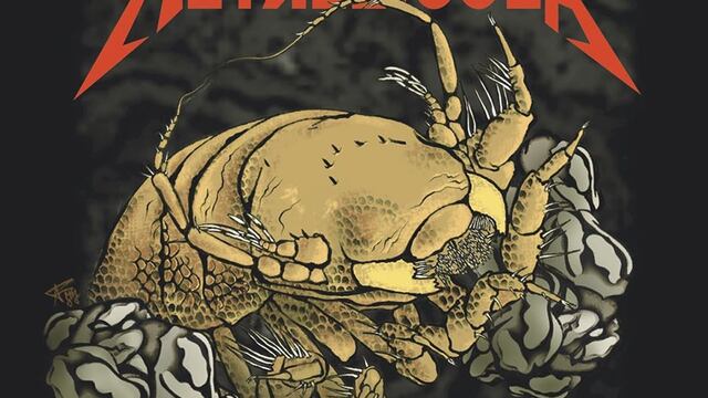 Ilustración de la Macrostylis metallicola