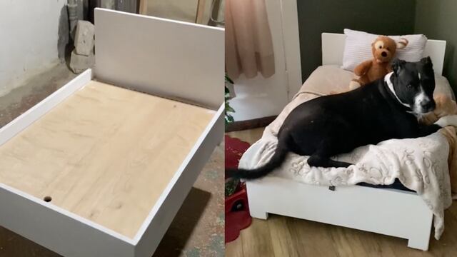 Construye una cama para el perro y TikTok se maravilla