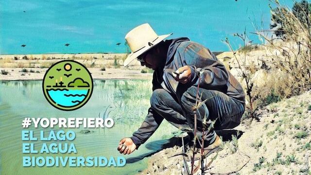 Más de 500 organizaciones inician campaña contra el NAICM