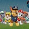 Impermeables de Paw Patrol: 6 modelos bonitos que puedes comprar al mejor precio