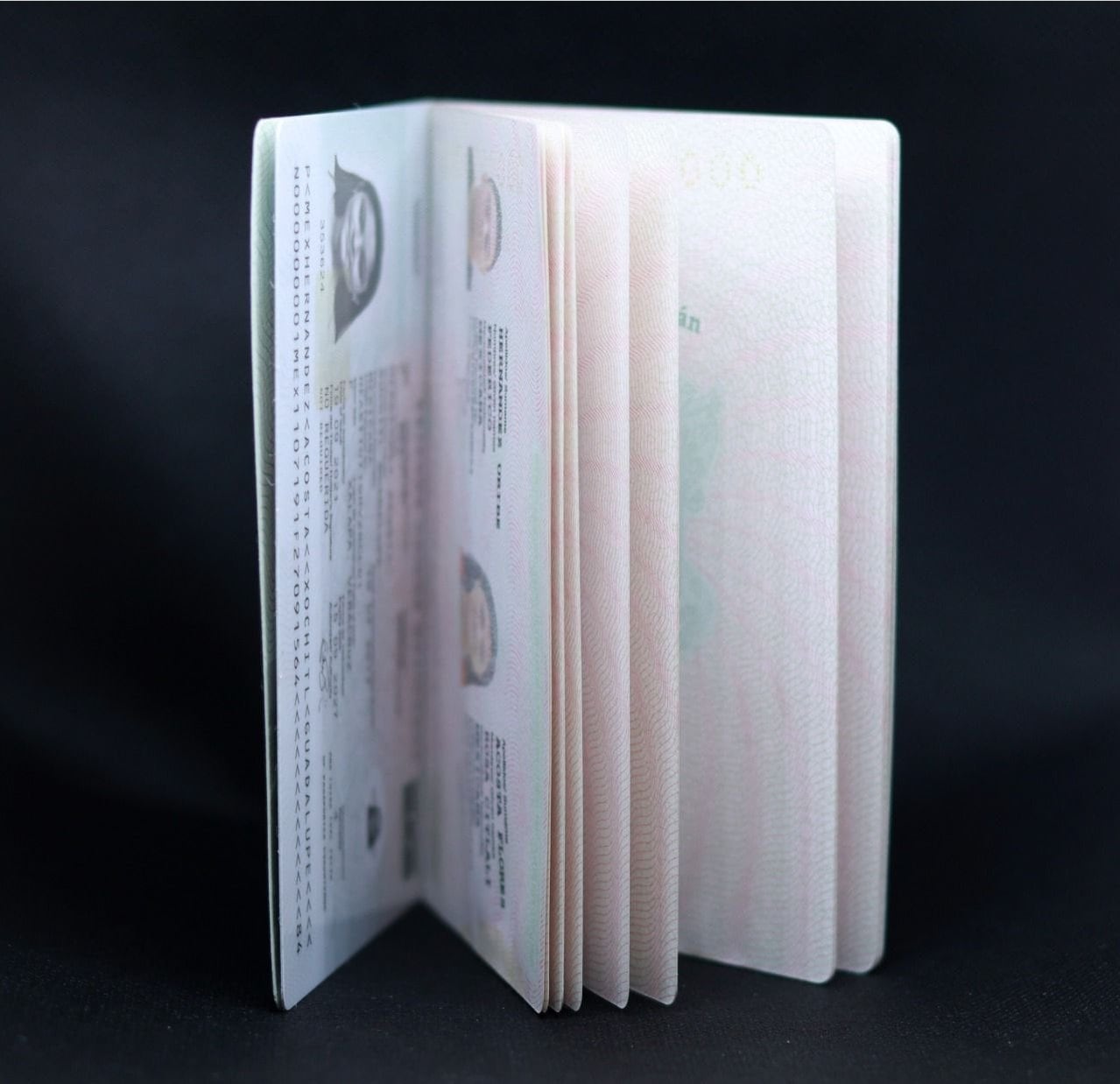 Pasaporte de menores de edad