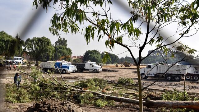 La sanción puede ser aplicada por Tránsito Municipal