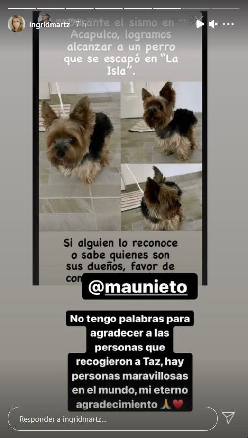 Ingrid Martz encuentra a su perrita