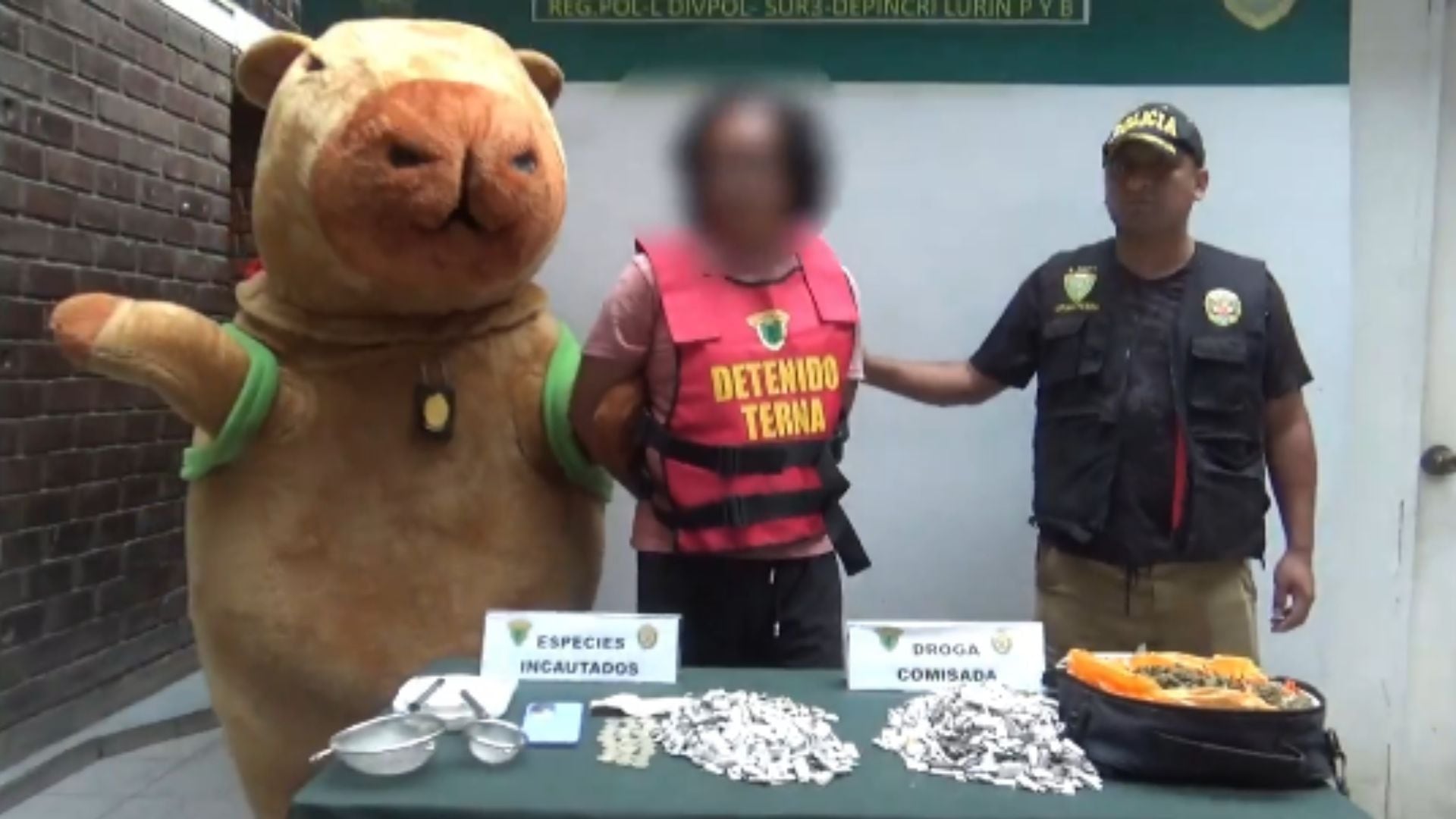 Perú: Policía usó disfraz de capibara para detener a narco
