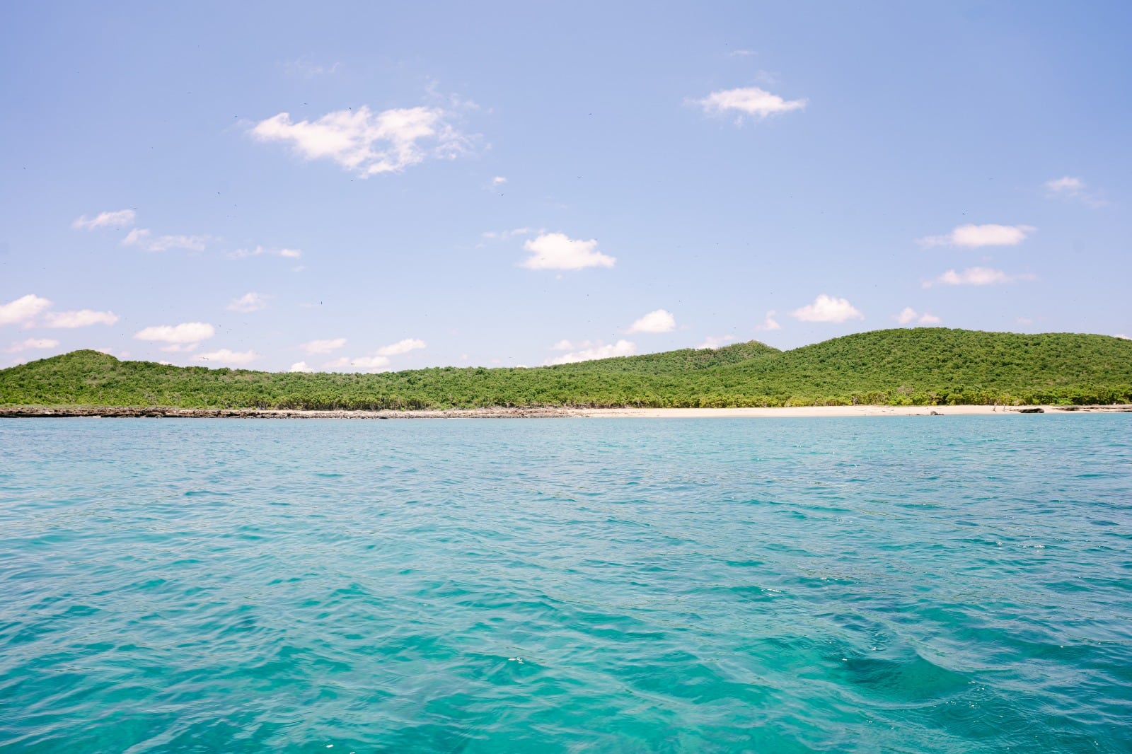 Isla Isabel y Boca de Camichín, Nayarit