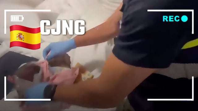 Desmantelan en España una "oficina" del CJNG