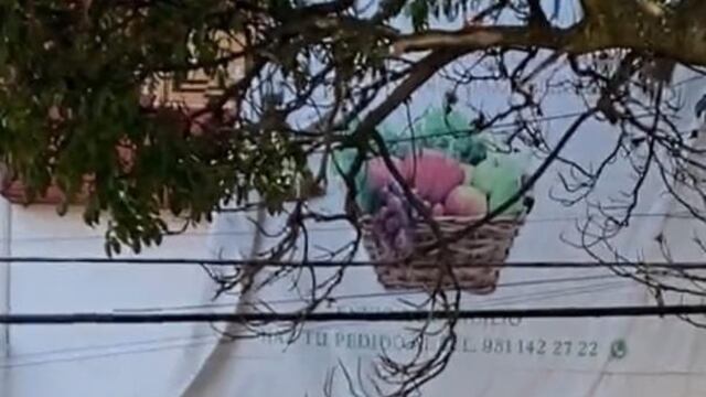 Sujeto con tijeras de jardinería en marcha del 8M