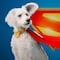 Taquilla de Superman arranca con impresionante cifra millonaria en su estreno donde México tuvo mucho que ver