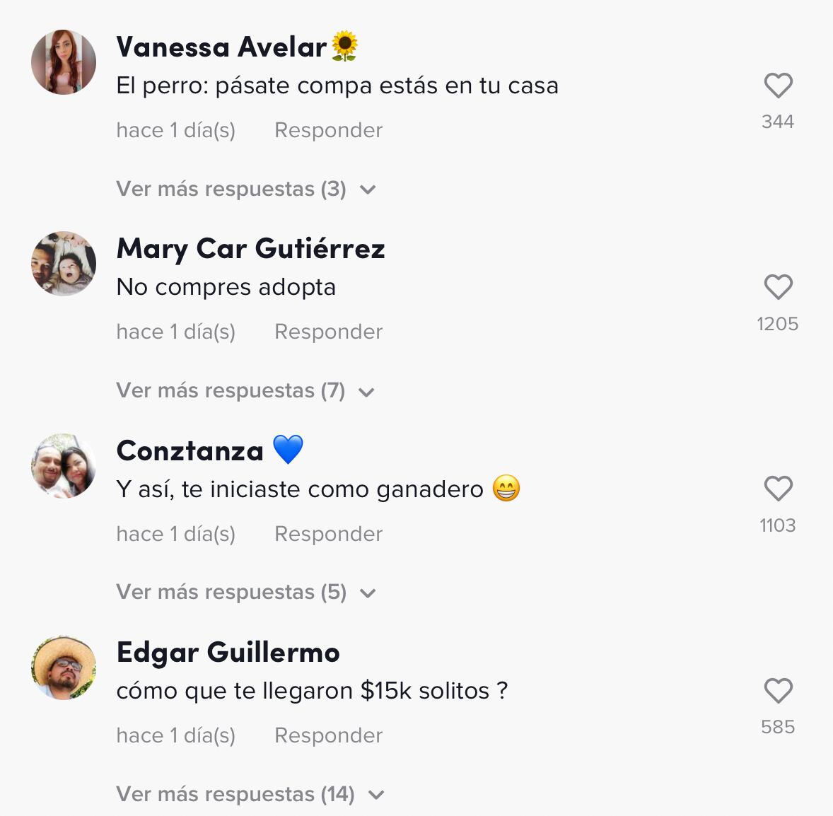 TikTok: Vaca se le cuela aprovechando el temblor del 19 de septiembre (VIDEO)
