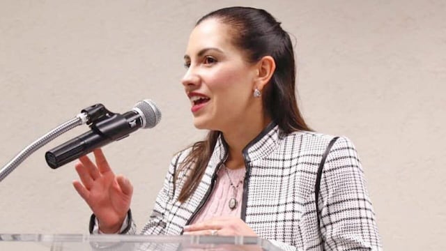 La diputada Elsa Méndez presentó la iniciativa.