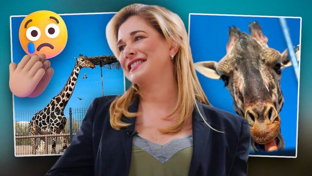 Maru Campos y la JIRAFA bENITO