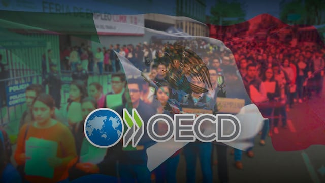 México lidera en menor desempleo dentro de la OCDE: Bolaños