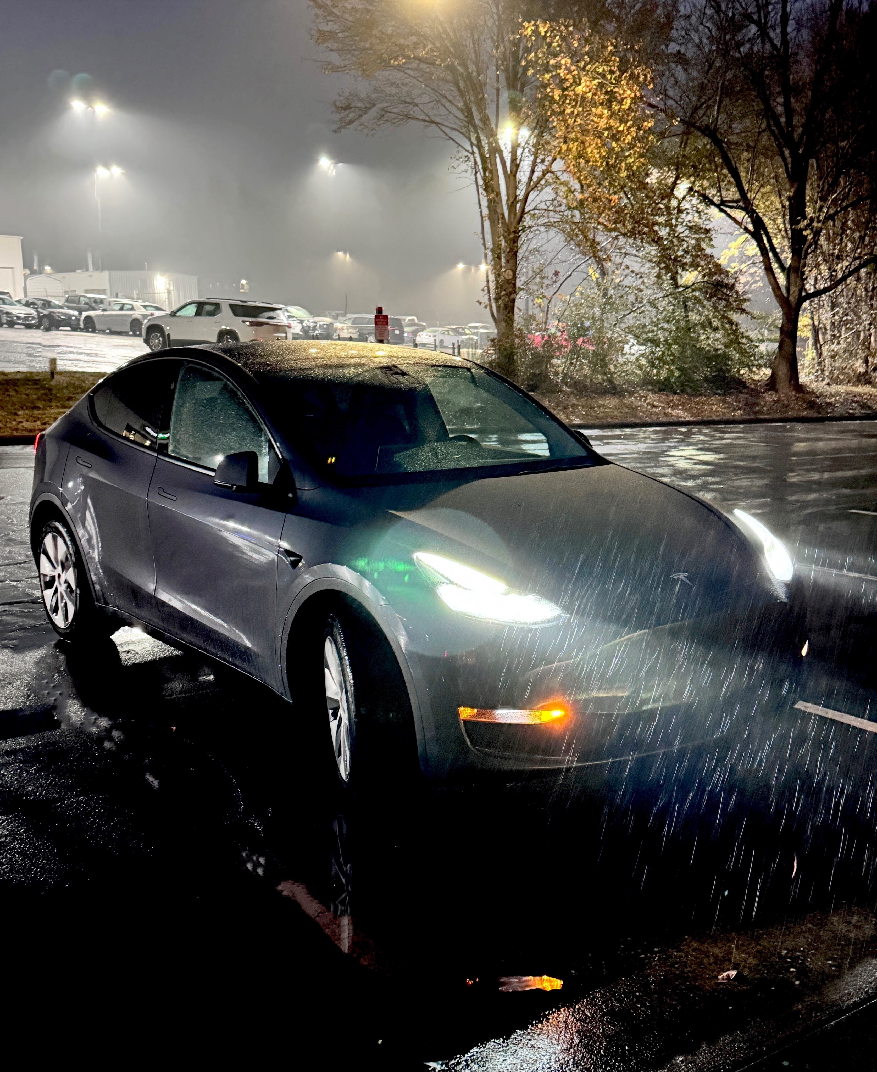 Tesla