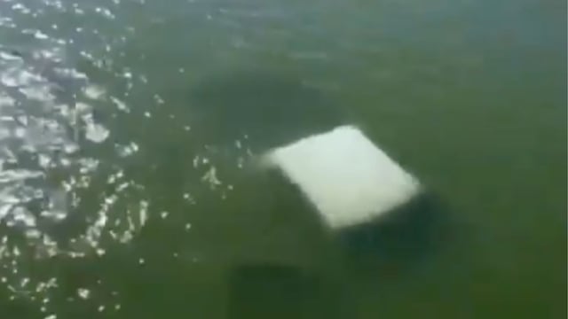 La principal hipótesis de la muerte de 4 elementos de la Semar es una posible pérdida de control de la camioneta en la que viajaban