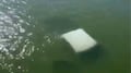 Mueren cuatro elementos de la Semar tras caer camioneta a un río en Tamaulipas