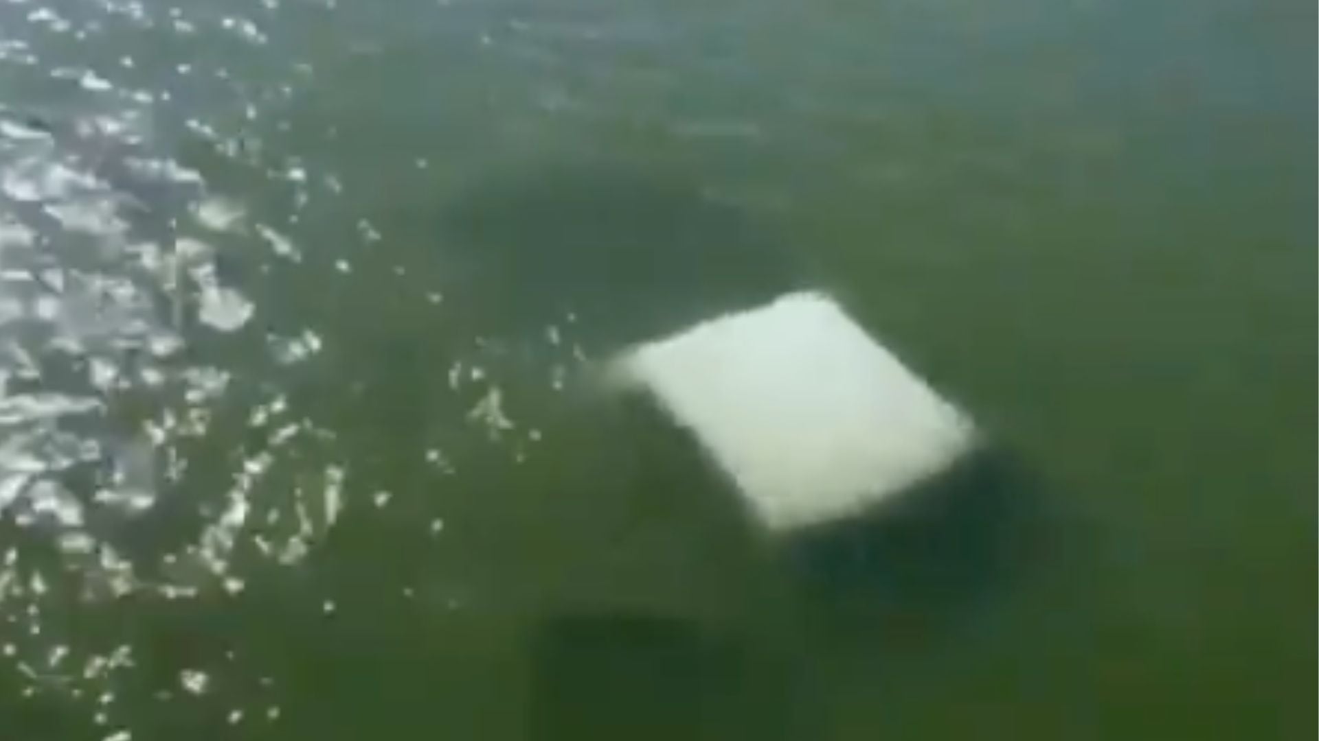Mueren cuatro elementos de la Semar tras caer camioneta a un río en Tamaulipas