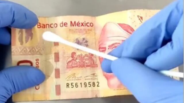 Prueba bacteriana en TikTok