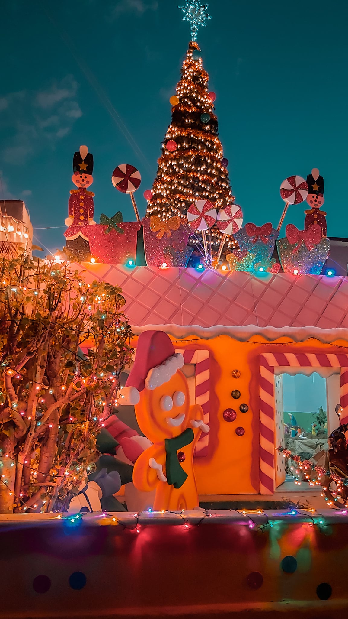 Galletas de jengibre