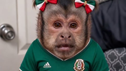 Los memes que dejó la victoria de México sobre Ecuador