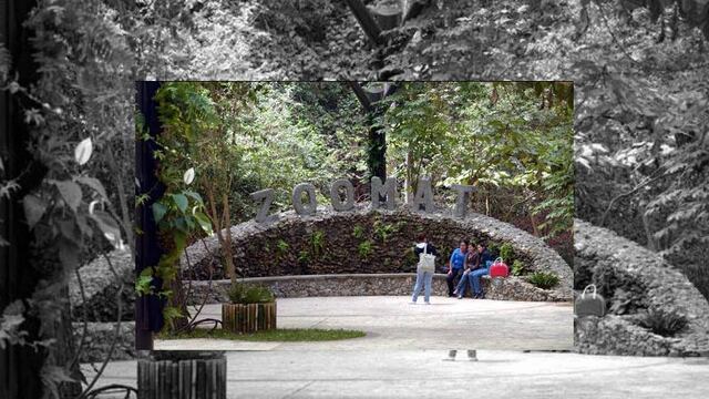 Cierran zoológico regional en Chiapas por remodelación y mantenimiento