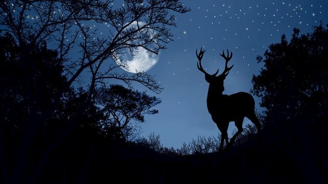 Eventos astronómicos en julio 2023