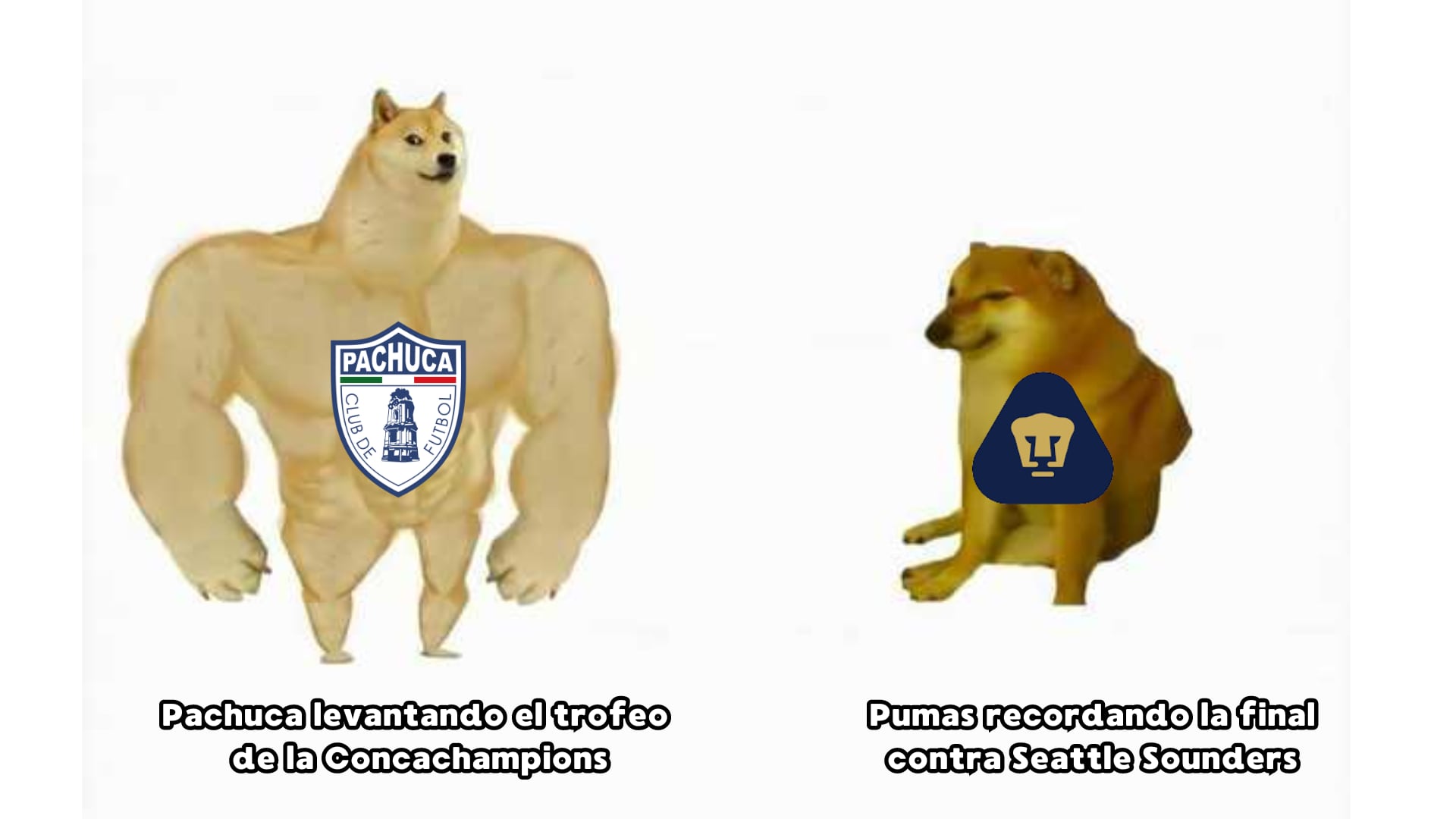Memes Pumas