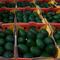 ¿Cómo madurar un aguacate rápido? Los venden verdes en los supermercados