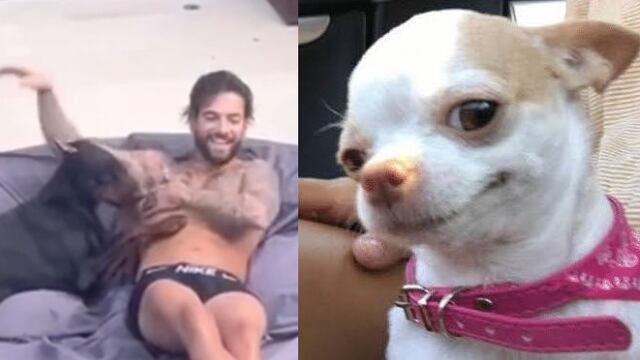 El perro de Maluma le muerde un pezón