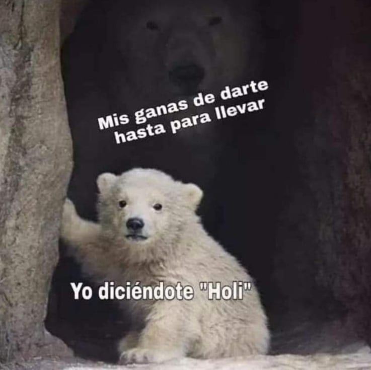 Meme