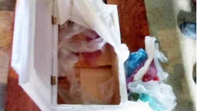 El hecho es investigado por autoridades