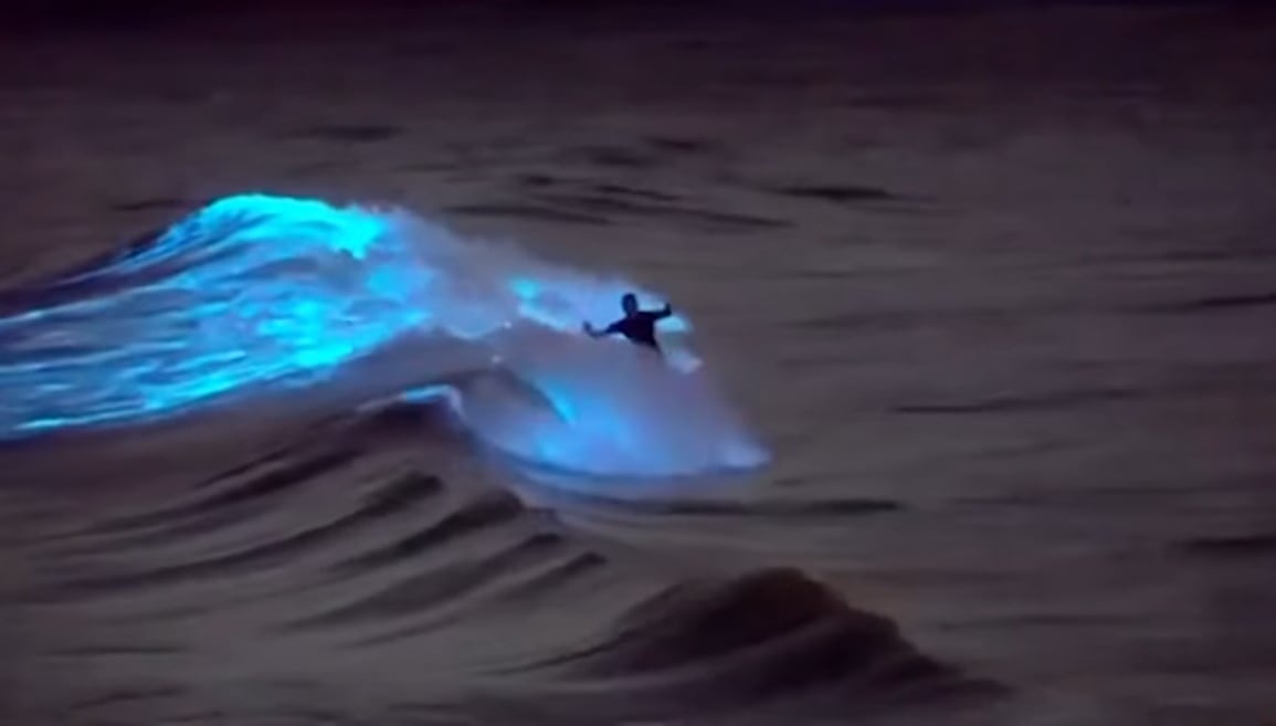 Surfista