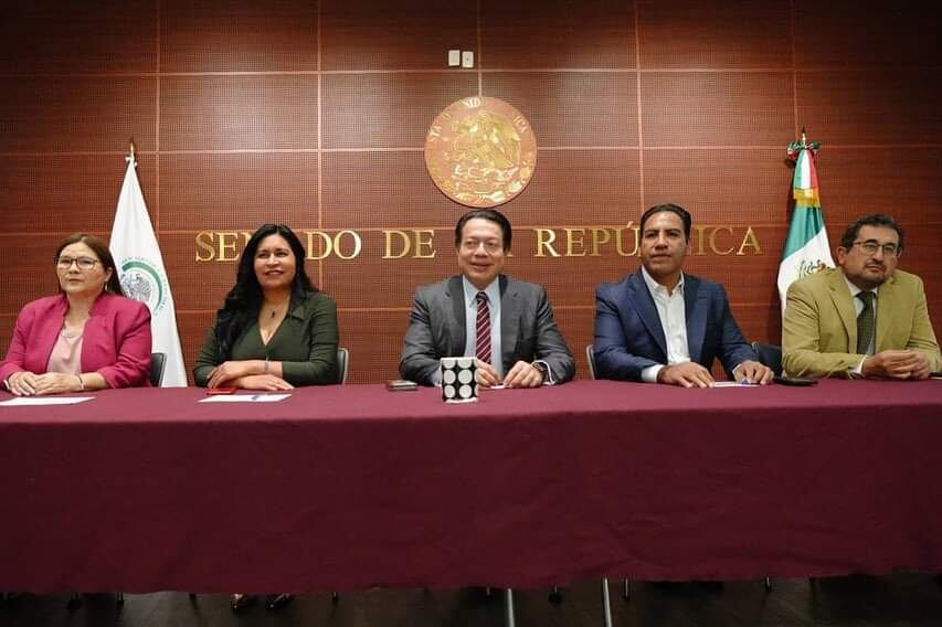 Mario Delgado: candidato a senador por Morena será electo por encuesta