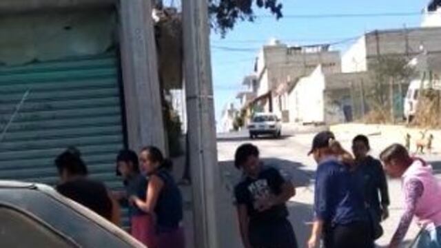 Agresión al pitbull