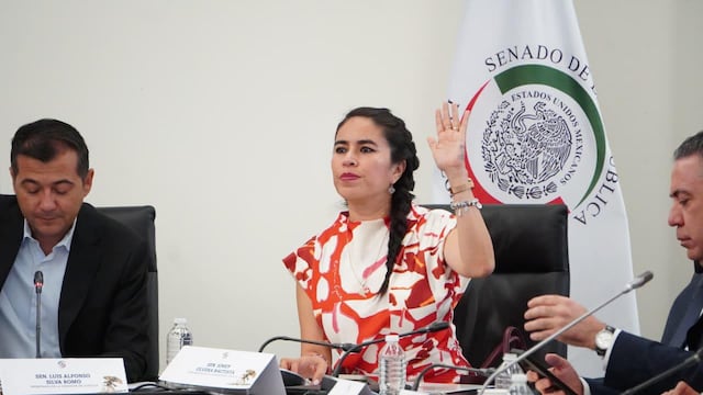 Simey Olvera, senadora de Morena