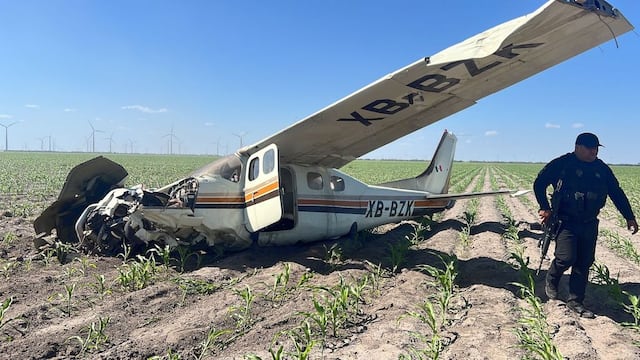 Avioneta se desplomó en Tamaulipas: Reportan un muerto y un herido