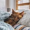 Día Internacional del Gato: 7 datos curiosos para celebrar a los michis