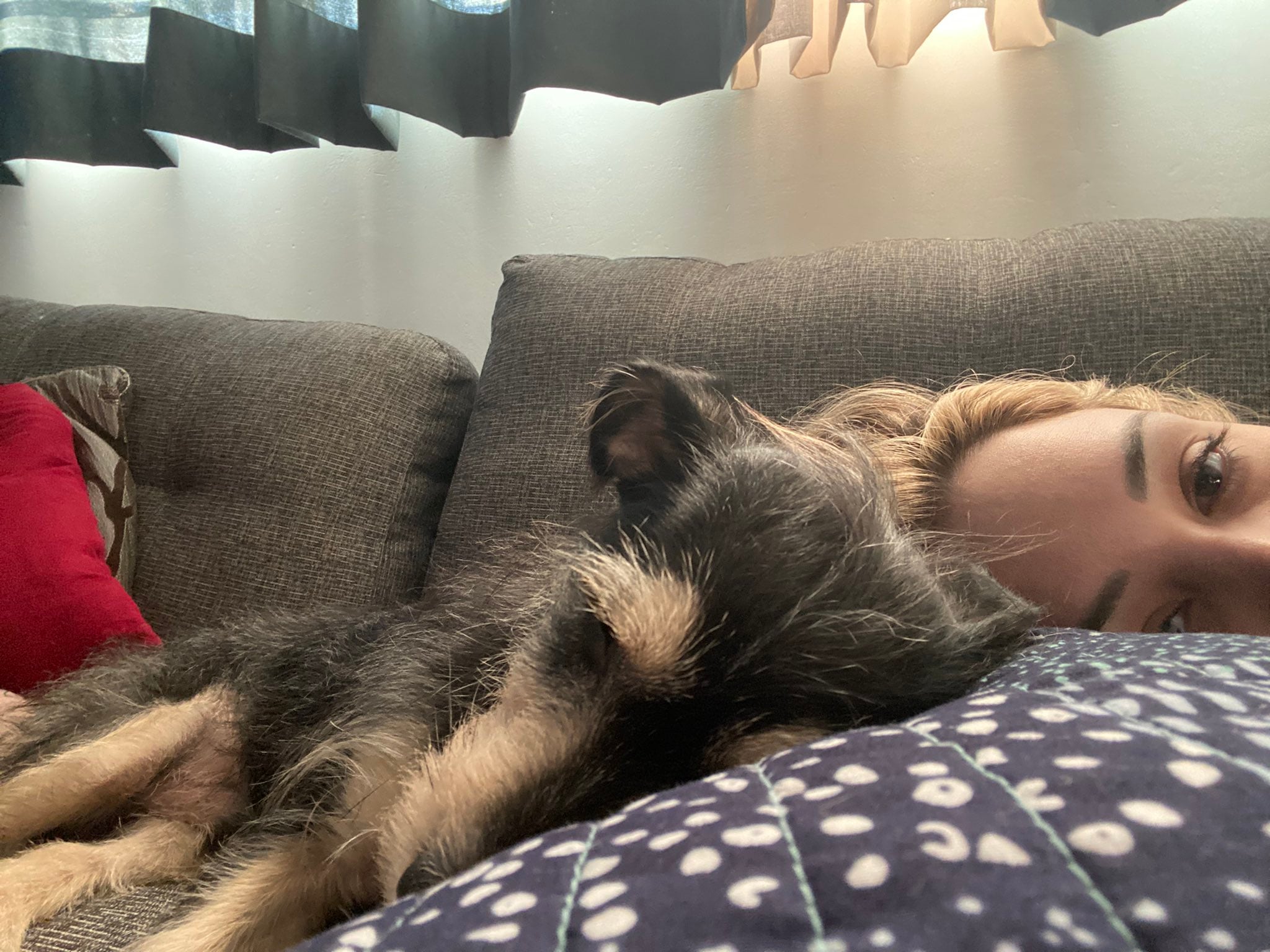 Tiko, perrito de Daniela Rodrice.