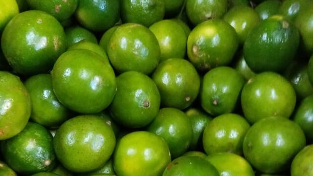 6 de 7 productores de limón en Michoacán operan con normalidad