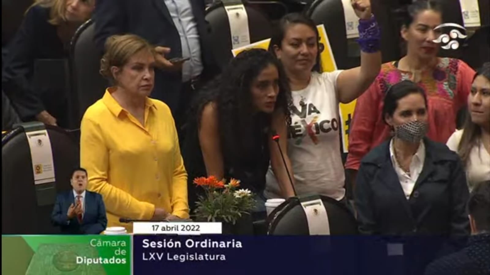 Edna Gisel en sesión de la reforma eléctrica en la Cámara de Diputados