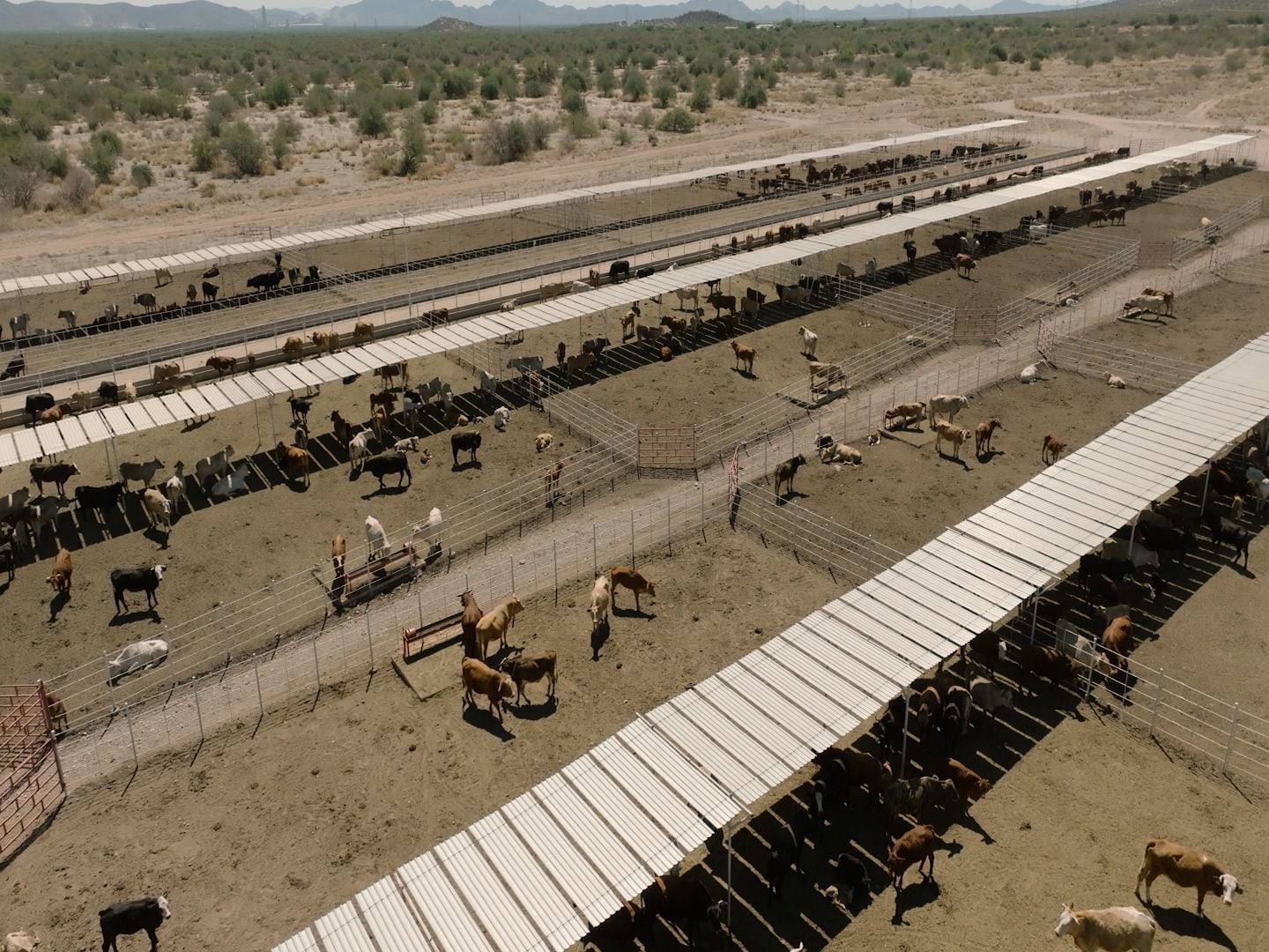 UGRS inicia modernización histórica con inversión de 470 mdp para fortalecer al sector ganadero de Sonora