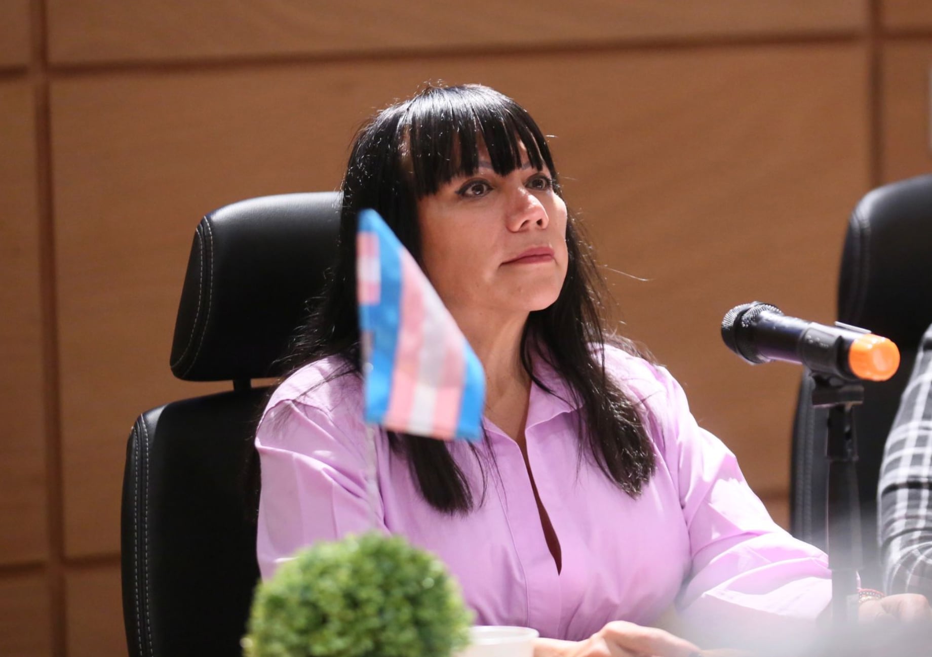 Salma Luévano, diputada de Morena