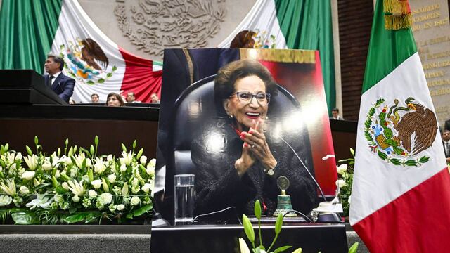 Ifigenia Martínez: Morena ya tiene a su candidato para la presidencia de la Cámara de Diputados