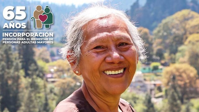 Secretaría del Bienestar registro de junio