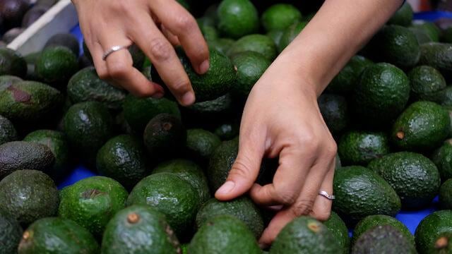 Aguacate