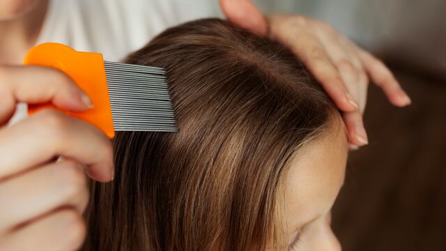 El significado de soñar con piojos