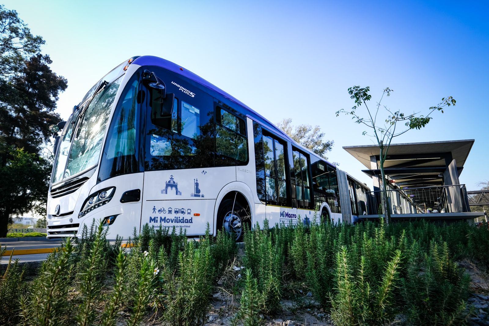 Mi Macro Periférico